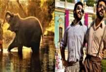 অস্কারের মঞ্চে সেরা তথ্যচিত্র ভারতের ‘দ্য এলিফ্যান্ট হুইস্পারার্স’, গানে ‘নাটু নাটু’