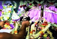 মায়াপুরে ইসকনের মন্দিরে ঝুলন উৎসবে সনাতনী আবেগ